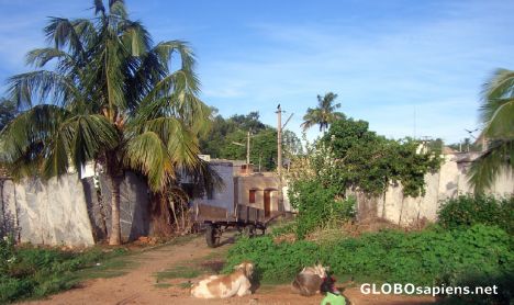 Postcard Scene from a village enroute ananthpur from blr
