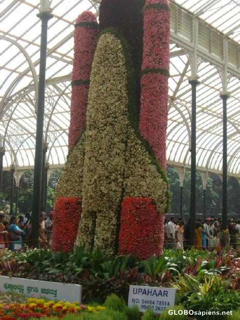 Postcard Another one from the show at Lalbagh