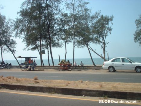 Postcard Kozhikode Beach, Kerala, India 2