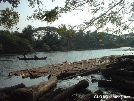 Postcard Kallai river, near Kozhikode, Kerala, India