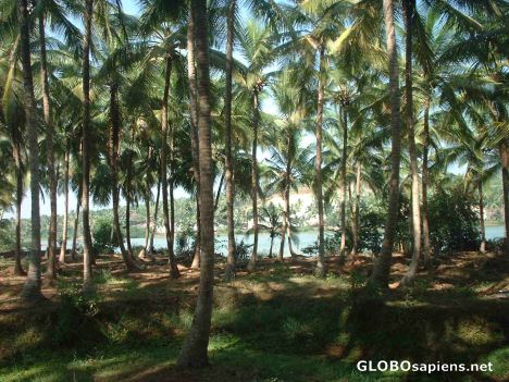 Postcard Beauty of North Kerala village !!