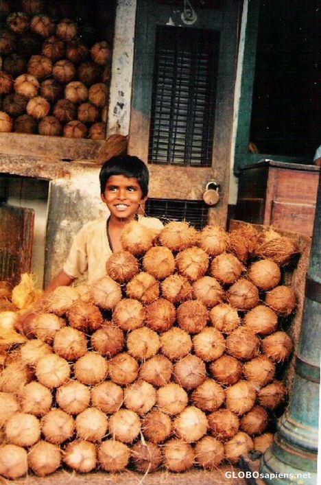 Postcard Coconutboy