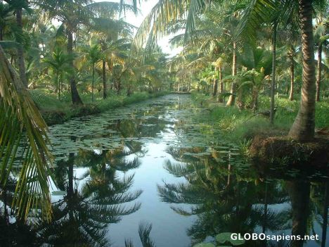 Postcard Cruising through the narrowest of backwaters