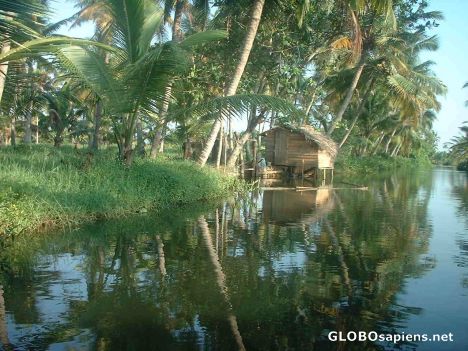 Postcard Fish farm watchman's hut in Kochi backwaters