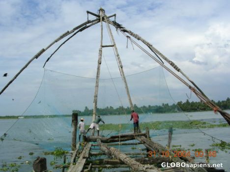 Postcard Chinese fishing nets
