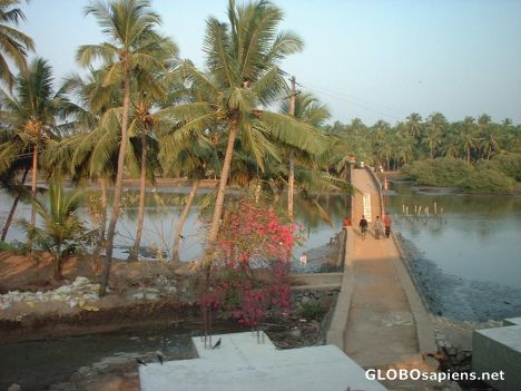 Postcard scene from coastal Kerala