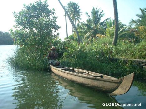 Postcard Fisherman in Kochi backwaters! Happy and contented