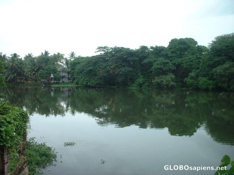 Postcard Kerala backwaters near Kochi