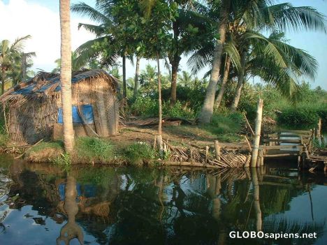 Postcard Backwaters breathtaking beauty,Vakkom, Kochi
