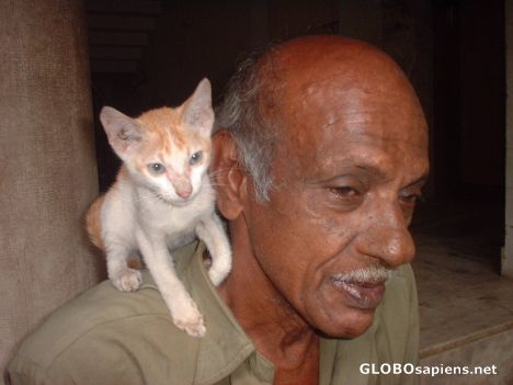 Postcard CoolCatTrick from Kozhikode 4 Globo members!