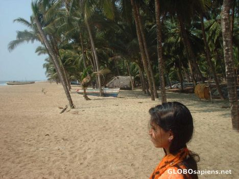 Postcard Sandbanks, a fishing village near Kozhikode
