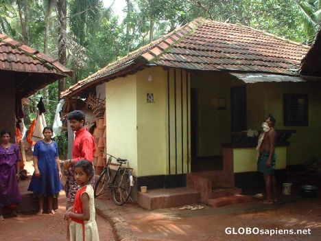 Postcard They too have their lives ! From rural Kerala