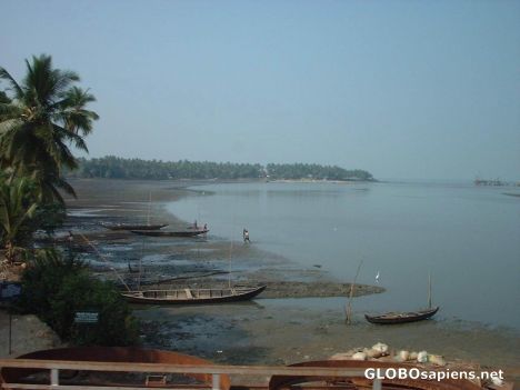 Postcard Scene from Kadalundi, Kozhikode, Kerala!