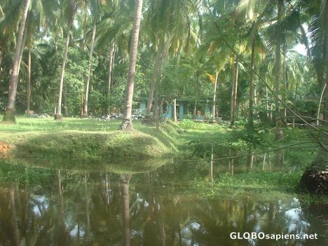 Postcard Kerala countryside near Kozhikode !