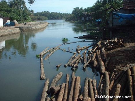 Postcard kallai river near Kozhikode