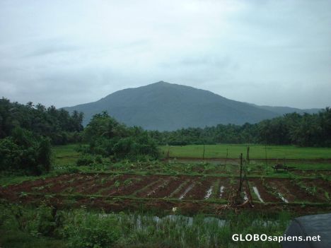 Postcard Windy's mountain near Kozhikode