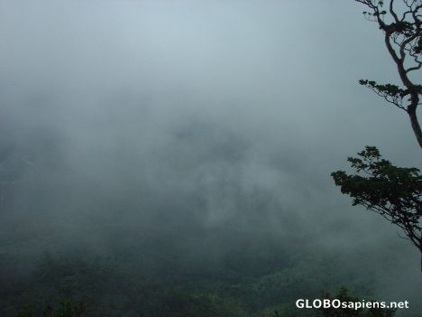 Postcard Drama increases as the mist/fog gets stronger !