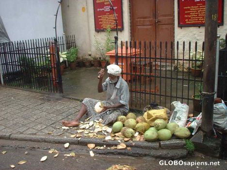 Postcard The coconut man near the Padmanabha Temple