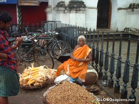 Postcard Corn and nut selling colourful old lady