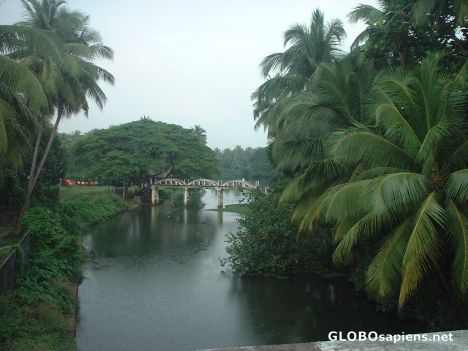 Postcard Rural Kerala from near Guruvayur, Trichur District