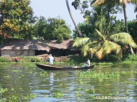 Postcard Boat at the Alleppey
