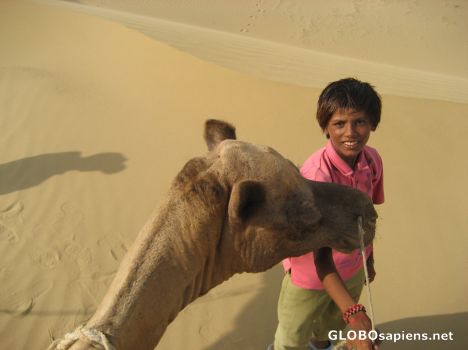Postcard My 11 year old Camel Driver