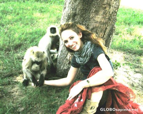 Postcard monkeys