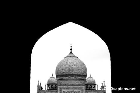 Postcard taj me