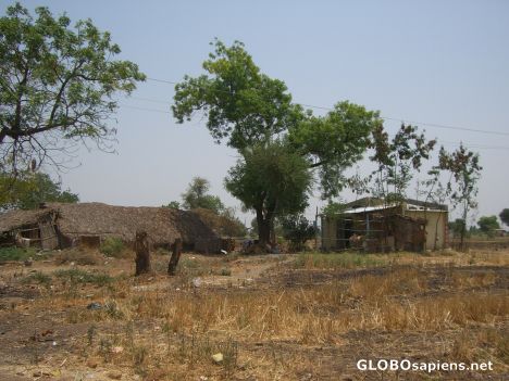 Postcard Country Life in India (4)