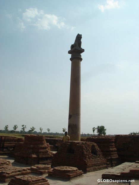 Postcard ASHOKA PILLAR