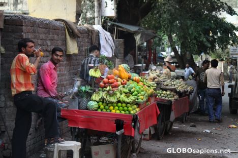 Postcard Fruit Stand