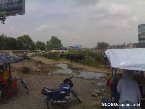Postcard Ground reality - India 5