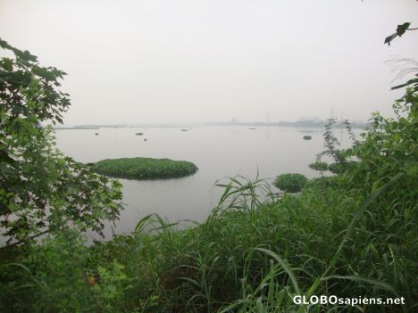 Postcard YAMUNA RIVER FROM OKHLA BIRD SANCTUARY