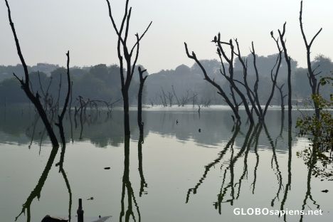 Postcard LAKE AT DEER PARK