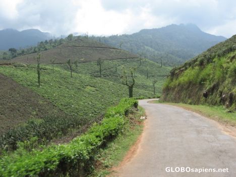 Postcard Beautiful Wayanadu in north Kerala, India !