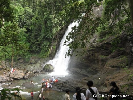 Postcard Cont'nung with my Wayanadu photographs from Kerala