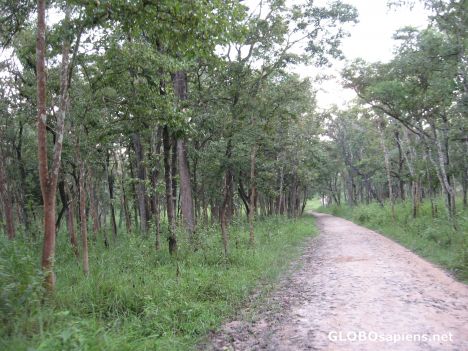 Postcard Around Wayanadu, Kerala with my camera!- contd.