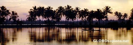 Postcard Pleasant Morning