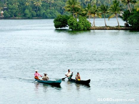 Postcard ashtamudi lake