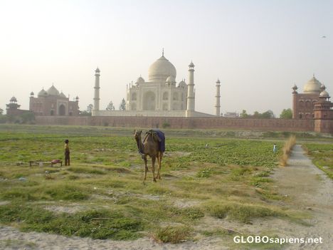 Postcard taj majal