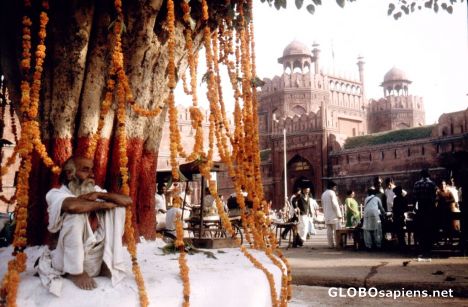 Postcard Jaipur