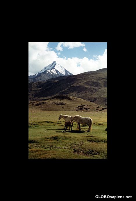 Postcard Chandra-tal area