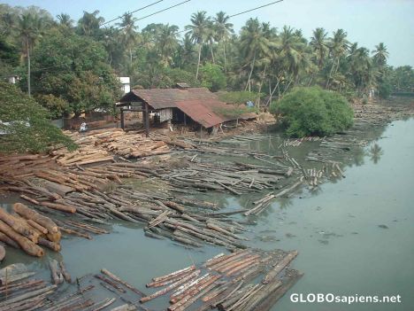 Postcard Kallai river, near Kozhikode