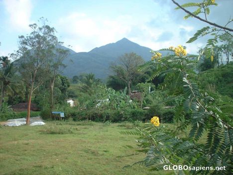 Postcard Lovely Wayanad, tropical rain forest area !!