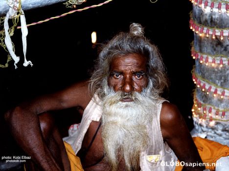 Postcard in udaipur - india