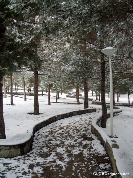Postcard soffe mountain park