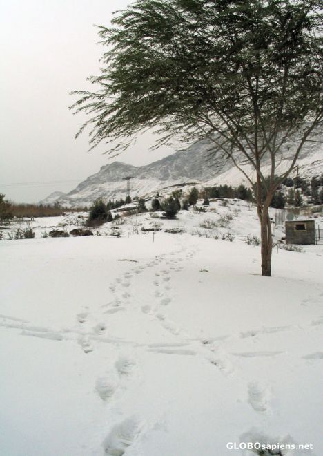 Postcard foot print on foot hill