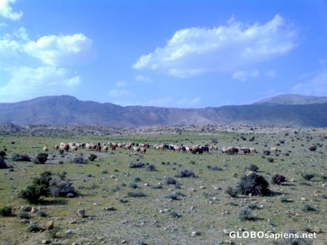 Postcard spring&bahar