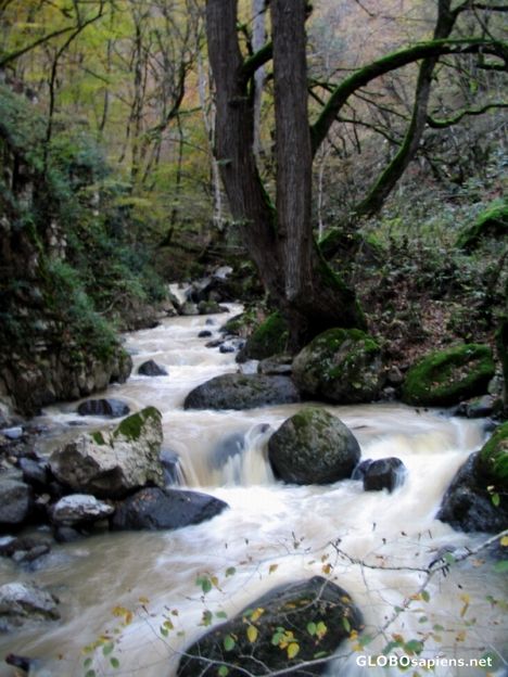 Postcard the river
