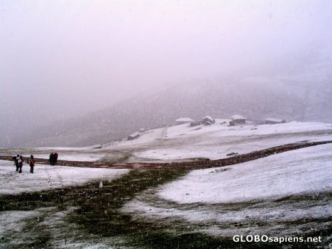 Postcard asalem in snow-2